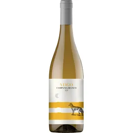 Villa Raiano Virgo Campania bianco IGT 2024 0,75 l