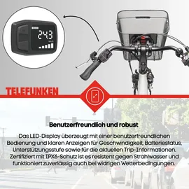 Telefunken Multitalent RC822 28 Zoll RH 48 cm weiß inkl. Fahrradkorb