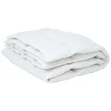 BEFA NATUR Made in Germany Primaloft Decke 200x200 cm aus hochwertiger Daunenalternative, Sommerdecke, Allergiker geeignet, Öko-Tex 100 Klasse 1 Zertifiziert