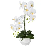 Creativ green künstliche Pflanze Phalaenopsis in Keramiktopf, Höhe 52 cm