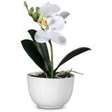 Kunstblume Orchidee 14 cm Kunststoff Beige Creme XS (Extra Small)