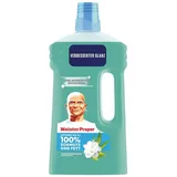 Meister Proper Allzweckreiniger Frühlingserwachen 1 l