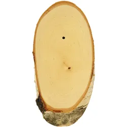 Gehörnbrettchen Rehbock, Birke