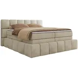 MKS Meble MKS Boxspringbett 160 x 200 mit bettkasten NIRA KING, Polsterbett 7 Zonen Multipocket-Matratze und Topper, Doppelbett - Beige Velvet - H3 - Beige