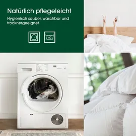 HANSKRUCHEN GmbH HANSKRUCHEN Daunenbettdecke 200x220 cm Leicht 90% Daunen waschbar Allergiker Decke atmungsaktiv Bettdecke weiss - Premium de Luxe / Weiß