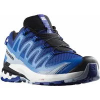 Salomon XA Pro 3D V9 Herren Surf the Web