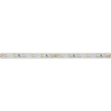 Brumberg LED Streifen, LED-Flexband (Kaltweiss, 500 cm, Indoor, Outdoor)