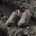 adidas Terrex Eastrail 3 Damen Wonder Taupe/Grey Four/Chalky Brown 38
