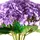 Beliani Künstlicher Blumenstrauß PERNES 50 cm Violett
