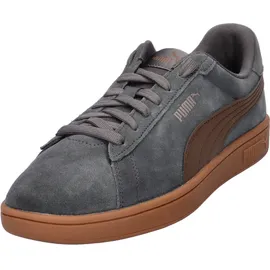 Puma Smash 3.0 Grau/Bronze 40,5