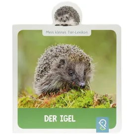 Klein & groß Verlag Der Igel