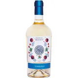 Tinazzi Garda Bianco DOP 2023 0,75 l