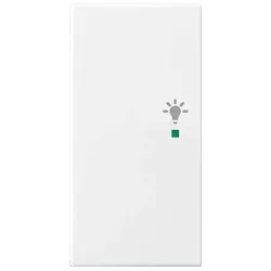 Busch-Jaeger Wippe aws 6231-21-914