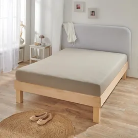 BettwarenShop Spannbettlaken Jersey-Elasthan 120 x 200 - 130 x 220 cm grau