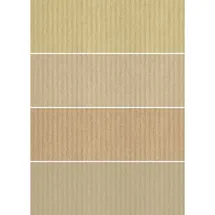 Buntpapierfabrik Ludwig Bähr Kraftkarton Natura 250g/qm A4 sortiert VE=50 Blatt