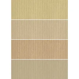 Buntpapierfabrik Ludwig Bähr Kraftkarton Natura 250g/qm A4 sortiert VE=50 Blatt