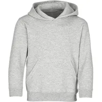 FRUIT OF THE LOOM Classic Heathergrey 116