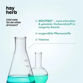 hay herb Longevity Komplex Kapseln 60 Stk.