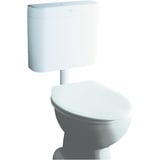 Grohe Spülkasten für WC, 37355SH0