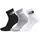 The North Face Multi Sport Cush Quarter Socken 3er Pack Schwarz/Mehrfarbig 41-43