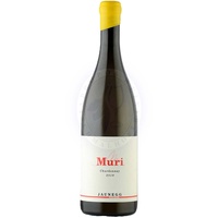 Chardonnay Ried Muri 2019 Jaunegg 0,75l