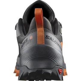 Salomon Wanderschuh »CROSS OVER 2 GORE-TEX®«, wasserdicht Salomon Phantom