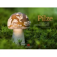 Ackermann Pilze Kalender 2026 Vielfalt am Waldboden | Ackermann