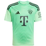 adidas FC Bayern München Torwarttrikot 2025/26 Kinder Gr. 152 Grün