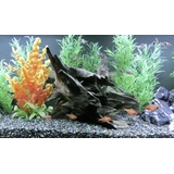 Davartis Orbit Corbo-Wurzel M 20 x 30 x 40 cm