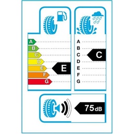 Continental ContiWinterContact TS 830 P 295/30 R19 100W