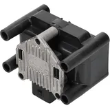 BorgWarner (Beru) Beru Zündspule
