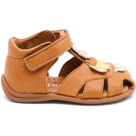 Bisgaard oline cognac 24