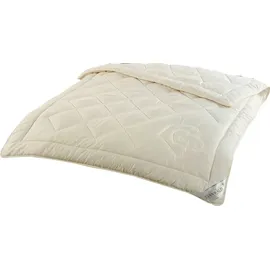 Sannwald Winterdecke Derby Duo Steppbett Größe 155x220 cm