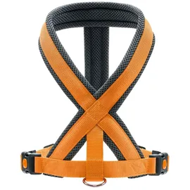 Hunter London Comfort Hundegeschirr Orange XS-S