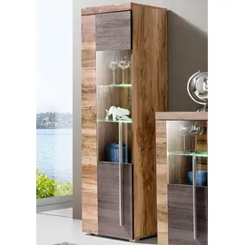 OTTO home Standvitrine Roger 55 x 35 x 160 cm Braun