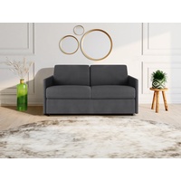 Schlafsofa 2-Sitzer - Liegefläche: 120 cm - Matratzenhöhe: 14 cm - Stoff - Grau - CALIFE