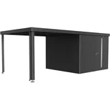 Biohort Seitendach zu Gerätehaus Neo Gr. 3A/3B/3C/3D Dunkelgrau-Metallic