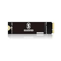 SHARKSPEED SSD 256GB Festplatte Intern Upgrade für MacBook Air 2012 A1465 A1466 EMC2558 EMC2559 (MacOS vorinstalliert)