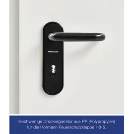 Hörmann T30 H8-5 links 87,5 x 125 cm grauweiß