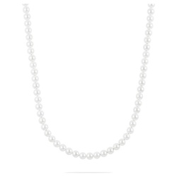 FAVS Collier FAVS Herren-Kette Edelstahl, Perle Muschelkern bunt