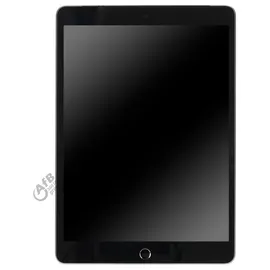Apple iPad 10,2" (9. Generation 2021) 256 GB Wi-Fi + Cellular space grau