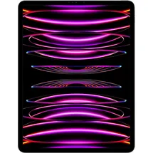 Apple iPad Pro 12,9" (6. Generation 2022) 1 TB Wi-Fi space grau