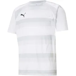 PUMA teamVISION Trikot Herren PUMA white/glaciergray/black M