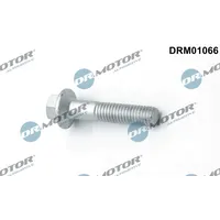 DR.MOTOR AUTOMOTIVE Schraube, Einspritzdüsenhalter DRM01066