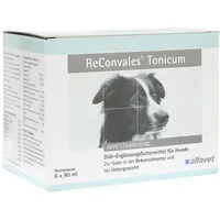 Alfavet ReConvales Tonicum Hund 6 x 90 ml