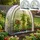 ideoon garden Foliengewächshaus Folie Transparent 175 x 186 x 84 cm