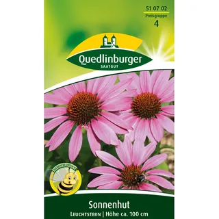 Quedlinburger Sonnenhut ''Leuchtstern''