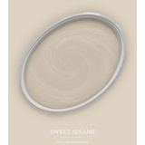 A.S. Création - Wandfarbe Beige Sweet Sesame 2,5L