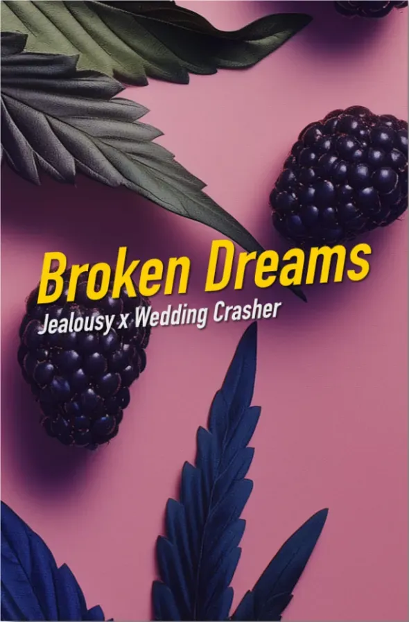 Dope Seeds Broken Dreams 3 Samen