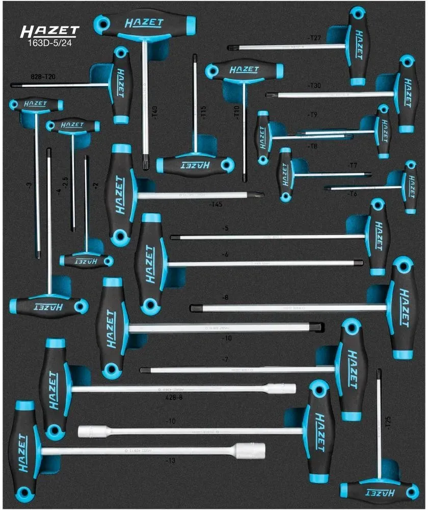 HAZET Steckschlüssel Satz mit T-Griff 163D-5/24 - 24-teilig